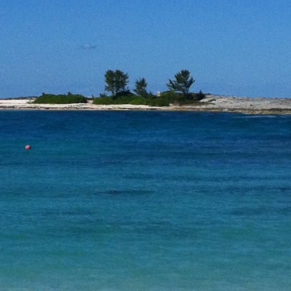 Meet your Posher, Bridget - Picture 1 of 1